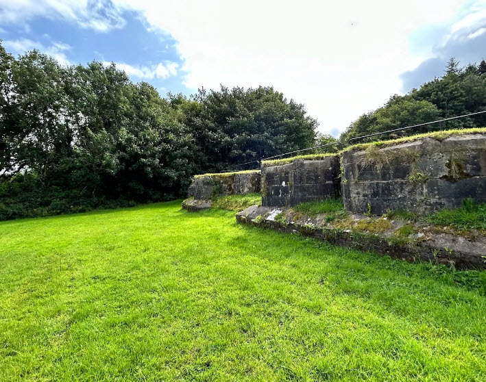 Rossmore Castle Ruins, Republic of Ireland, Ireland